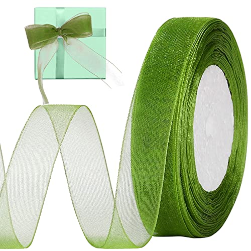 Organza Chiffon Geschenkband Grün, 2cm x 45m Organzaband Durchscheinende Breit Schleifenband Bänder Stoffband Geschenkverpackung Stoff Band für Hochzeit, Basteln und Geburtstag Dekoration von Devenirriche