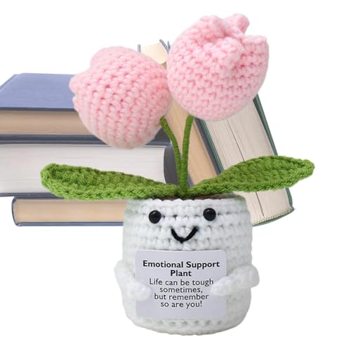 Dgayaeic Emotionale Unterstützung, Häkelpuppe, positive gestrickte Blumen, niedliche gestrickte emotionale Stützpflanzen, leicht und tragbar, handgefertigt und weich, Garn fördert die Positivität für Dgayaeic Emotionale Unterstützung, Häkelpuppe, positive gestrickte Blumen, niedliche gestrickte emotionale Stützpflanzen, leicht und tragbar, handgefertigt und weich, Garn fördert die Positivität für von Dgayaeic