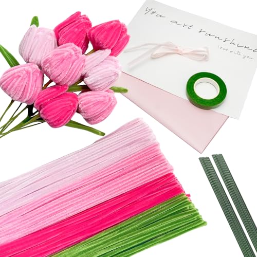 Dhnvcud Pfeifenreiniger Set, 223 Stück Pfeifenputzer zum Basteln, 4 Farben Pipe Cleaner für DIY Basteln und Dekorieren, mit Grün Basteldraht, Geschenkpapier, Geschenkband, Blumenband (Rosa/Grün) von Dhnvcud