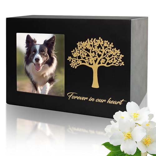 DiDiBirDi Haustierurnen für Hund oder Katze, personalisierter Bilderrahmen und Baum des Lebens, Asche aus Holz, für Katze oder Hund, Erinnerungsbox (groß) von DiDiBirDi