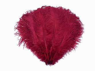 Diamante Crafts Straußenfedern, extragroß, 50 cm – 60 cm, 23 Farben (10 x Straußenfedern, XL, Burgunderrot) von Diamante Crafts