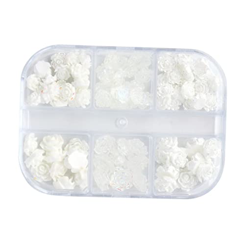 Didiseaon 2 Boxen Charms Boxen mit Eleganten Maniküre Zubehör für Nail Art Dekoration für Diy und Schönheitssalons Didiseaon 2 Boxen Charms Boxen mit Eleganten Maniküre Zubehör für Nail Art Dekoration für Diy und Schönheitssalons von Didiseaon