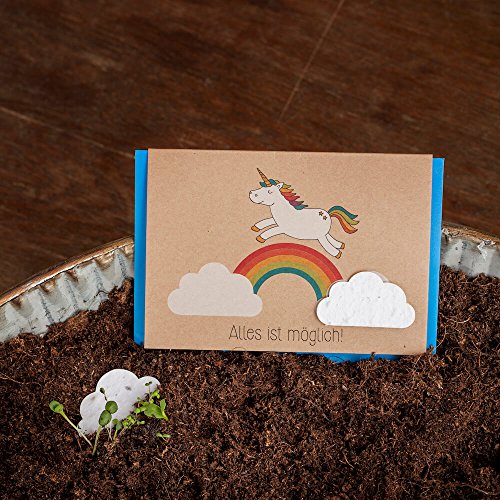 Klappkarte mit Einhorn & Regenbogen - mit eingearbeiteten Wildblumensamen - Glückwunschkarte mit Einhorn von Die Stadtgärtner