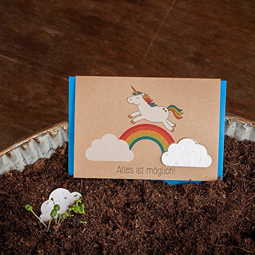 Klappkarte mit Einhorn & Regenbogen - mit eingearbeiteten Wildblumensamen - Glückwunschkarte mit Einhorn Klappkarte mit Einhorn & Regenbogen - mit eingearbeiteten Wildblumensamen - Glückwunschkarte mit Einhorn von Die Stadtgärtner
