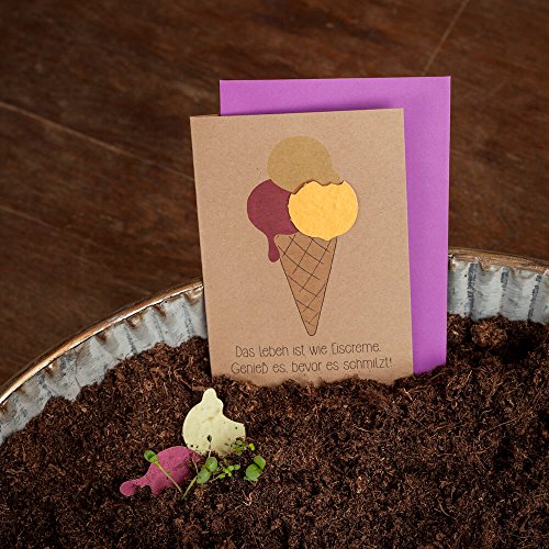 Klappkarte mit Eiscreme - mit eingearbeiteten Wildblumensamen - Grußkarte mit Spruch Klappkarte mit Eiscreme - mit eingearbeiteten Wildblumensamen - Grußkarte mit Spruch von Die Stadtgärtner