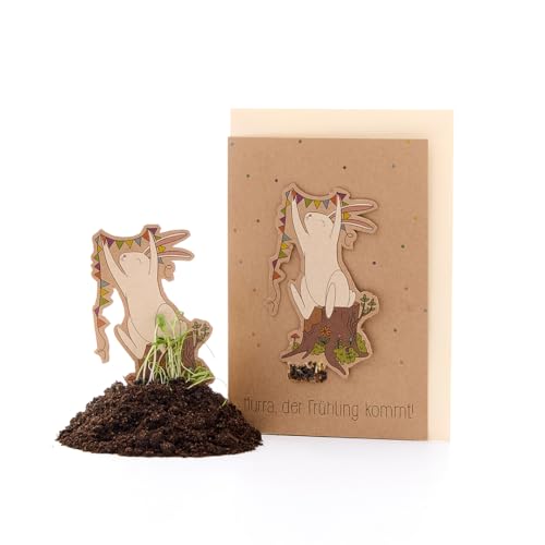 Wachsende Frühlingskarte mit Osterhasen-Motiv mit Saatgut | Besondere Grußkarte im Frühling oder zu Ostern mit Umschlag | Nachhaltige Klappkarte in DIN A6 für Frühlingsgrüße | Perfektes Ostergeschenk Wachsende Frühlingskarte mit Osterhasen-Motiv mit Saatgut | Besondere Grußkarte im Frühling oder zu Ostern mit Umschlag | Nachhaltige Klappkarte in DIN A6 für Frühlingsgrüße | Perfektes Ostergeschenk von Die Stadtgärtner