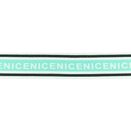 Ripsband Nice | 30 mm breit | viele Farben | ab 2 m | Meterware (mint) von Die Stofftante