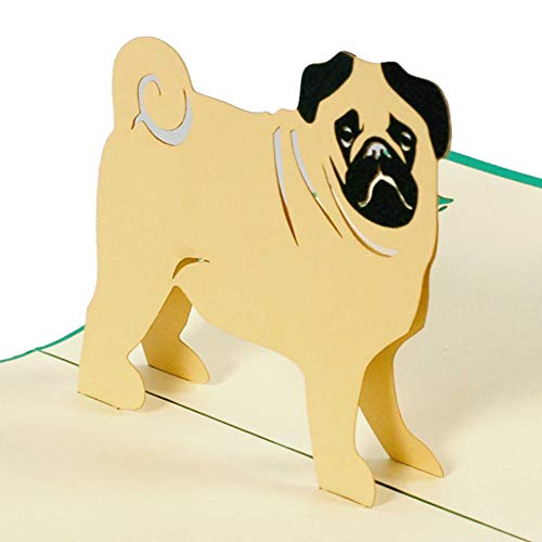 Diese-Klappkarten Hundekarte mit Mops, Karte mit Haustier zum Geburtstag oder als Glückwunschkarte, Geburtstagskarte als Gutschein oder eine tolle Überraschung, Geschenk F17 Diese-Klappkarten Hundekarte mit Mops, Karte mit Haustier zum Geburtstag oder als Glückwunschkarte, Geburtstagskarte als Gutschein oder eine tolle Überraschung, Geschenk F17 von Diese-Klappkarten