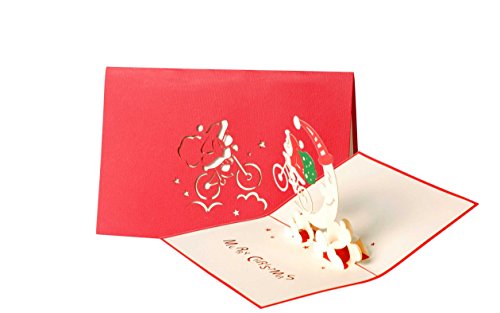 Diese-Klappkarten Weihnachtskarte mit Umschlag, Weihnachtsmann auf Fahrrad, Gutschein, edel, klassisch, besonders, christlich, hochwertig, lustig, Adventskarte, Geschenkidee, Frohe Weihnachten, W25 von Diese-Klappkarten