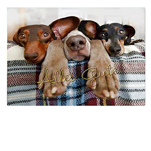 DigitalOase 4 kleine Abschiedskarten Grußkarten Ruhestand Verabschiedung Kollegen - 4 Klappkarten 4 weisse Kuverts DIN A7#VARABA7 (HUNDE) von DigitalOase