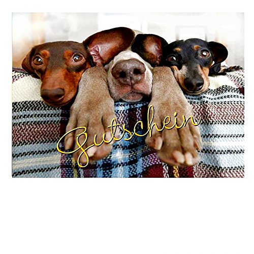 DigitalOase 4 kleine Gutscheine Gutscheinkarten Geschenkkarten 4 Klappkarten 4 Kuverts DIN A7#DOGS TIERE HUNDE DigitalOase 4 kleine Gutscheine Gutscheinkarten Geschenkkarten 4 Klappkarten 4 Kuverts DIN A7#DOGS TIERE HUNDE von DigitalOase