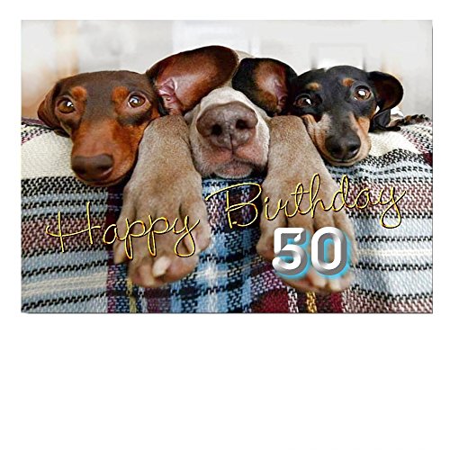 DigitalOase Glückwunschkarte 50. Geburtstag A5 Geburtstagskarte Grußkarte Klappkarte Umschlag #VAR50A5 (HUNDE) von DigitalOase
