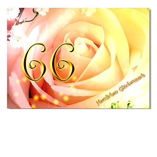 DigitalOase Glückwunschkarte 66. Geburtstag A5 Geburtstagskarte Grußkarte Klappkarte Umschlag #ROSE DigitalOase Glückwunschkarte 66. Geburtstag A5 Geburtstagskarte Grußkarte Klappkarte Umschlag #ROSE von DigitalOase