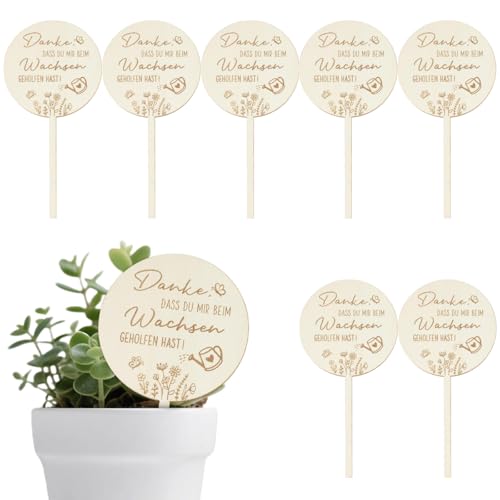 Dimoxii 8 Stück Holz Blumenstecker Danke, Abschiedsgeschenk Erzieherin & Lehrerin, Pflanzenstecker Blumentopf Holzschild, Geschenk für Kindergarten, Kita, Danke Dass Du Mir Beim Wachsen Geholfen Hast von Dimoxii