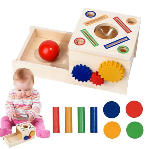 Dinchaakuarry Sensorische Feinmotorikspiele, sensorische Kampfspiele aus, Sortierbox für Feinmotorik, Vorschullernspielzeug Dinchaakuarry Sensorische Feinmotorikspiele, sensorische Kampfspiele aus, Sortierbox für Feinmotorik, Vorschullernspielzeug von Dinchaakuarry