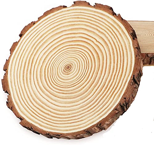 Holzscheiben, Naturholz, 18 – 20 cm, ohne Loch, 2 Stück, Naturholz, geeignet für Dekoration von Weihnachten, Holz, Platzmarkierung, Hochzeit, Brandmalkolben aus Holz Holzscheiben, Naturholz, 18 – 20 cm, ohne Loch, 2 Stück, Naturholz, geeignet für Dekoration von Weihnachten, Holz, Platzmarkierung, Hochzeit, Brandmalkolben aus Holz von Ding Yongliang