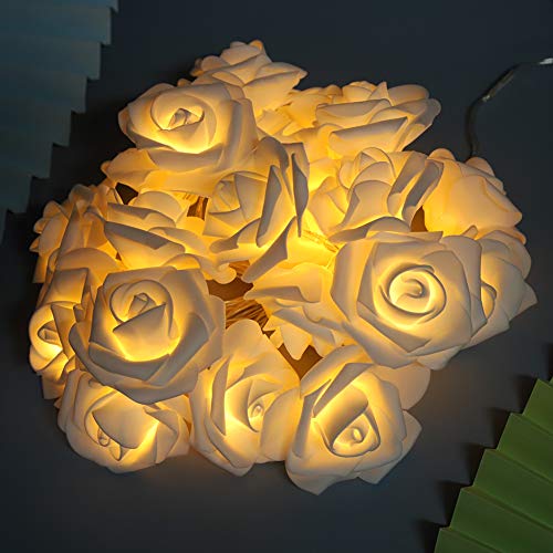 Rose Blume Lichterketten - 3 Meter 20LED USB Künstliche Blumen Lichterketten Rose Lichterkette für Valentinstag Hochzeitstag Geburtstagsfeier Schlafzimmer Dekoration(Weiß) von Dioche