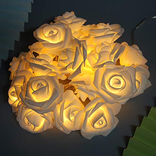 Dioche Rose Blume Lichterketten - 3 Meter 20LED USB Künstliche Blumen Lichterkette für Valentinstag Hochzeitstag Geburtstagsfeier Schlafzimmer Dekoration (Weiß) von Dioche