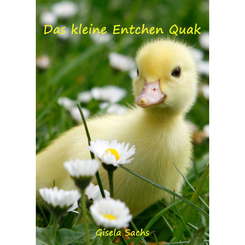 Das Kleine Entchen Quak - Gisela Sachs, Kartoniert (TB) von Dirk-Laker-Verlag