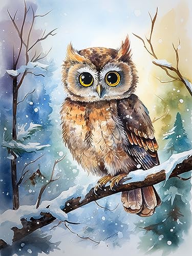 Diymood DIY Diamond Painting Eule Kit – 5D Diamant Bilder Schnee für Erwachsene | Kunstvolle Strass Stickerei Sets für Home Dekoration | 30X40 cm Wanddekoration von Diymood