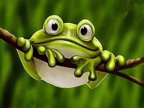 Showker 5D Diamant Painting Kit Frosch - DIY Tier Diamond Painting Bilder Zubehör für Runde Diamond Kreuzstich Stickerei - Dekorative Kunst für Büro und Zuhause - Wandbild 30x40 cm von Diymood