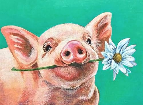 Showker 5D Diamant Painting Kit Schwein - DIY Tier Diamond Painting Bilder Zubehör für Runde Diamond Kreuzstich Stickerei - Dekorative Kunst für Büro und Zuhause - Wandbild 30x40 cm von Diymood