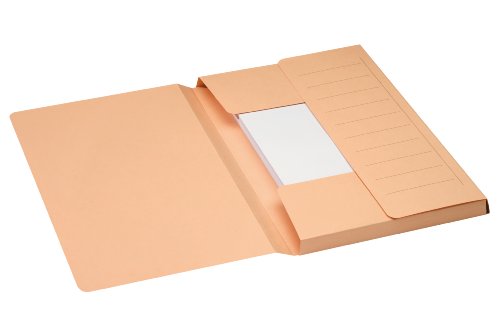 Jalema 3183804 Secolor Mammut-Aktenmappe, Karton, C2C für lose Blattablage, 3 große Einschlagklappen 270 gramm, maximal 35 x 24 cm, 10er Packung, chamois Jalema 3183804 Secolor Mammut-Aktenmappe, Karton, C2C für lose Blattablage, 3 große Einschlagklappen 270 gramm, maximal 35 x 24 cm, 10er Packung, chamois von Djois