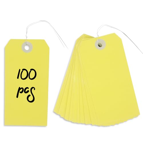 Dmnnlp 100 Stück Papieranhänger mit Draht, 12 x 6 cm, Gepäckanhänger, blanko, hängende Papieretiketten zum Markieren von Gepäck, Geschenken, Preis, Kleidung, Versand- und Inventar-Etiketten Dmnnlp 100 Stück Papieranhänger mit Draht, 12 x 6 cm, Gepäckanhänger, blanko, hängende Papieretiketten zum Markieren von Gepäck, Geschenken, Preis, Kleidung, Versand- und Inventar-Etiketten von Dmnnlp