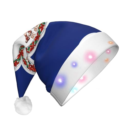 DngSer LED-Weihnachtsmütze mit Flagge von Virginia für Erwachsene – klassische Weihnachts- und Neujahrsparty-Kopfbedeckung, Urlaubs-Plüsch, weich, bequem von DngSer