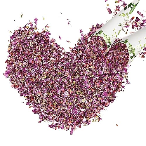 130 Gramm Blütenkonfetti Getrocknete Rosen Rosenblüten Getrocknet Rosenblätter Getrocknet Blütenblätter Hochzeit für Geburtstag Vorschlag Party Feiern Hochzeitsparty Dekoration 130 Gramm Blütenkonfetti Getrocknete Rosen Rosenblüten Getrocknet Rosenblätter Getrocknet Blütenblätter Hochzeit für Geburtstag Vorschlag Party Feiern Hochzeitsparty Dekoration von Dog's Booty