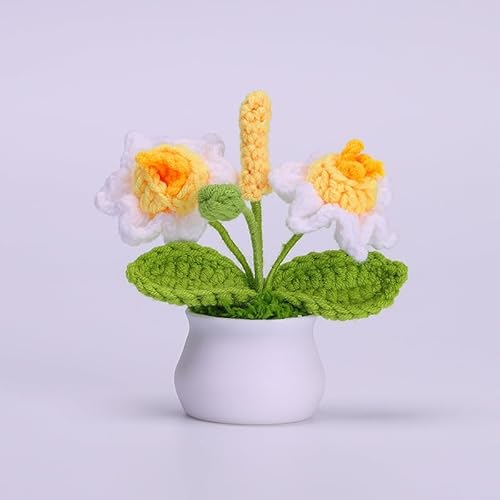 Dollin&Dockin Häkelblumen, handgewebte Wolle, gestrickte Blumen für Heimdekoration, Lotus, violett, Trauben, Bonsai, ewige Blumensträuße, Topfblumenarrangement, Narzisse Dollin&Dockin Häkelblumen, handgewebte Wolle, gestrickte Blumen für Heimdekoration, Lotus, violett, Trauben, Bonsai, ewige Blumensträuße, Topfblumenarrangement, Narzisse von Dollin&Dockin