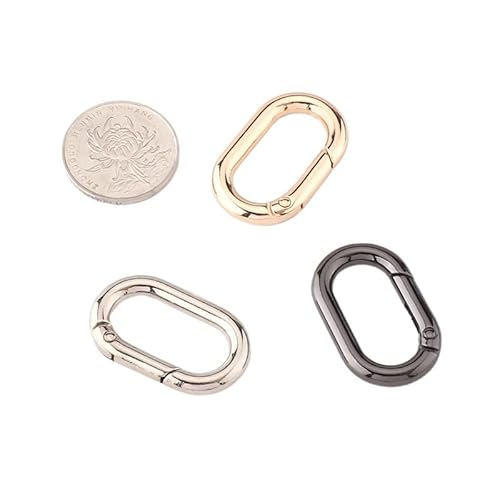 20 Stück Ovaler Verschluss, Armband Verlängerung, Schlüsselringe Edelstahl, Schmuckverschluss Für Halskette, Ketten Layering, DIY Schmuck, Mini Karabiner (Gold und Silber) von Domicubes