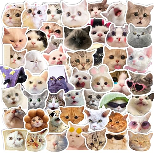 50 Katzenaufkleber mit lustigen und niedlichen Mustern, modisch und wasserfest, geeignet für Fahrräder, Koffer, Helme, Laptops, Wasserflaschen, Mobiltelefone usw. (Katze 1) von Donboly