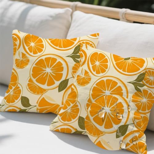 Outdoor Kissen 100x100 cm 2er Set Kissenbezug Herbst Kissen Deko Kissenbezüge Atmungsaktiv Wetterfest, Quadrat Sofakissen Samtstoff Kissenhülle Zitrone Outdoorkissen für Couch Balkon Garten Deko e484 Outdoor Kissen 100x100 cm 2er Set Kissenbezug Herbst Kissen Deko Kissenbezüge Atmungsaktiv Wetterfest, Quadrat Sofakissen Samtstoff Kissenhülle Zitrone Outdoorkissen für Couch Balkon Garten Deko e484 von Donpeer