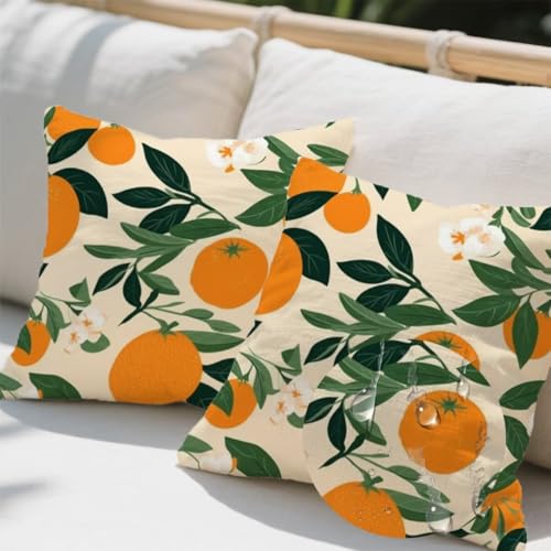 Outdoor Kissen 100x100 cm 2er Set Kissenbezug Herbst Kissen Deko Kissenbezüge Atmungsaktiv Wetterfest, Quadrat Sofakissen Samtstoff Kissenhülle Zitrone Outdoorkissen für Couch Balkon Garten Deko e480 Outdoor Kissen 100x100 cm 2er Set Kissenbezug Herbst Kissen Deko Kissenbezüge Atmungsaktiv Wetterfest, Quadrat Sofakissen Samtstoff Kissenhülle Zitrone Outdoorkissen für Couch Balkon Garten Deko e480 von Donpeer