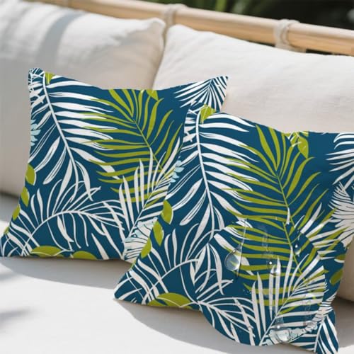 Outdoor Kissen 100x100 cm 2er Set Kissenbezug Palmblätter Kissen Deko Kissenbezüge Atmungsaktiv Wetterfest, Quadrat Sofakissen Samtstoff Kissenhülle Anlage Outdoorkissen für Garten Balkon Deko e744 Outdoor Kissen 100x100 cm 2er Set Kissenbezug Palmblätter Kissen Deko Kissenbezüge Atmungsaktiv Wetterfest, Quadrat Sofakissen Samtstoff Kissenhülle Anlage Outdoorkissen für Garten Balkon Deko e744 von Donpeer