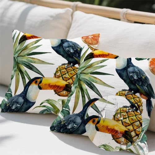 Outdoor Kissen 100x100 cm 2er Set Kissenbezug Papagei Kissen Deko Kissenbezüge Atmungsaktiv Wetterfest, Quadrat Sofakissen Samtstoff Kissenhülle Ananas Outdoorkissen für Couch Balkon Garten Deko e698 Outdoor Kissen 100x100 cm 2er Set Kissenbezug Papagei Kissen Deko Kissenbezüge Atmungsaktiv Wetterfest, Quadrat Sofakissen Samtstoff Kissenhülle Ananas Outdoorkissen für Couch Balkon Garten Deko e698 von Donpeer