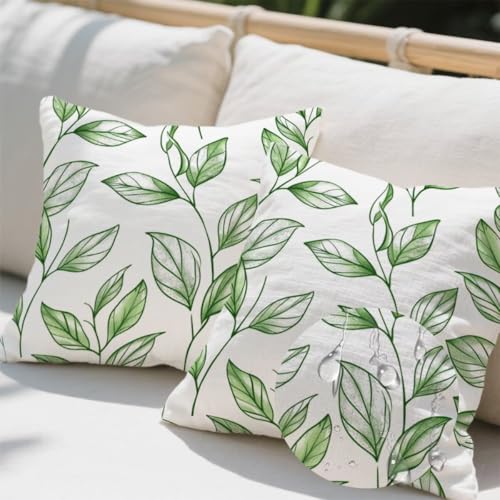 Outdoor Kissen 35x35 cm 2er Set Kissenbezug Eukalyptus Kissen Deko Kissenbezüge Atmungsaktiv Wetterfest, Quadrat Sofakissen Samtstoff Kissenhülle Grün Outdoorkissen für Couch Balkon Garten Deko e700 Outdoor Kissen 35x35 cm 2er Set Kissenbezug Eukalyptus Kissen Deko Kissenbezüge Atmungsaktiv Wetterfest, Quadrat Sofakissen Samtstoff Kissenhülle Grün Outdoorkissen für Couch Balkon Garten Deko e700 von Donpeer