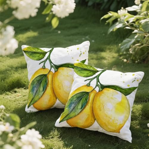 Outdoor Kissen 40x40 cm 2er Set Kissenbezug Weiß Kissen Deko Kissenbezüge Atmungsaktiv Wetterfest, Quadrat Sofakissen Samtstoff Kissenhülle Zitrone Outdoorkissen für Garten Balkon Deko Geschenke e14 Outdoor Kissen 40x40 cm 2er Set Kissenbezug Weiß Kissen Deko Kissenbezüge Atmungsaktiv Wetterfest, Quadrat Sofakissen Samtstoff Kissenhülle Zitrone Outdoorkissen für Garten Balkon Deko Geschenke e14 von Donpeer