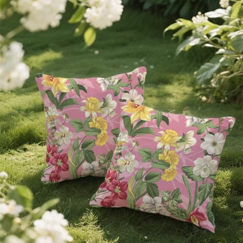 Outdoor Kissen 45x45 cm 2er Set Kissenbezug Rosa Kissen Deko Kissenbezüge Atmungsaktiv Wetterfest, Quadrat Sofakissen Samtstoff Kissenhülle Frühling Outdoorkissen für Garten Balkon Deko Geschenke e152 Outdoor Kissen 45x45 cm 2er Set Kissenbezug Rosa Kissen Deko Kissenbezüge Atmungsaktiv Wetterfest, Quadrat Sofakissen Samtstoff Kissenhülle Frühling Outdoorkissen für Garten Balkon Deko Geschenke e152 von Donpeer