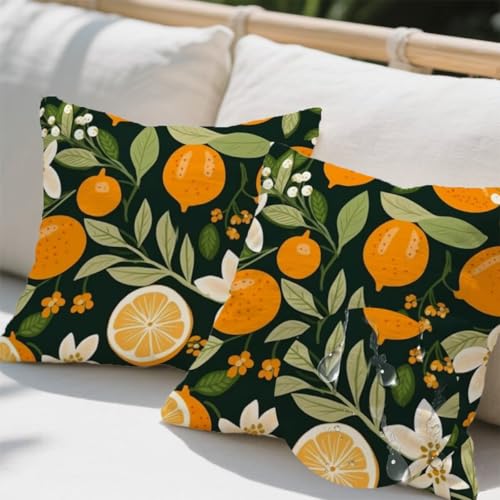 Outdoor Kissen 50x50 cm 2er Set Kissenbezug Herbst Kissen Deko Kissenbezüge Atmungsaktiv Wetterfest,Quadrat Sofakissen Samtstoff Kissenhülle Zitrone Outdoorkissen für Garten Balkon Deko Geschenke e486 Outdoor Kissen 50x50 cm 2er Set Kissenbezug Herbst Kissen Deko Kissenbezüge Atmungsaktiv Wetterfest,Quadrat Sofakissen Samtstoff Kissenhülle Zitrone Outdoorkissen für Garten Balkon Deko Geschenke e486 von Donpeer