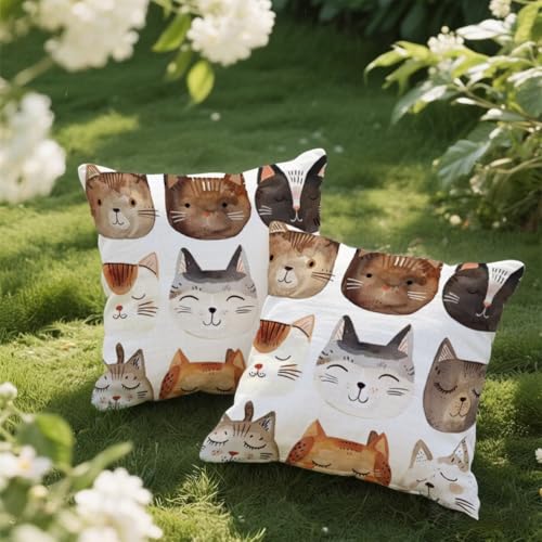 Outdoor Kissen 50x50 cm 2er Set Kissenbezug Katze Kissen Deko Kissenbezüge Atmungsaktiv Wetterfest,Quadrat Sofakissen Samtstoff Kissenhülle Niedlich Outdoorkissen für Garten Balkon Deko Geschenke e428 Outdoor Kissen 50x50 cm 2er Set Kissenbezug Katze Kissen Deko Kissenbezüge Atmungsaktiv Wetterfest,Quadrat Sofakissen Samtstoff Kissenhülle Niedlich Outdoorkissen für Garten Balkon Deko Geschenke e428 von Donpeer