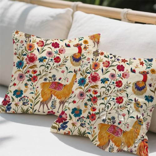 Outdoor Kissen 55x55 cm 2er Set Kissenbezug Alpaka Kissen Deko Kissenbezüge Atmungsaktiv Wetterfest, Quadrat Sofakissen Samtstoff Kissenhülle Blumen Outdoorkissen für Garten Balkon Deko Geschenke e664 Outdoor Kissen 55x55 cm 2er Set Kissenbezug Alpaka Kissen Deko Kissenbezüge Atmungsaktiv Wetterfest, Quadrat Sofakissen Samtstoff Kissenhülle Blumen Outdoorkissen für Garten Balkon Deko Geschenke e664 von Donpeer