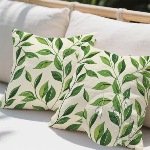 Outdoor Kissen 55x55 cm 2er Set Kissenbezug Eukalyptus Kissen Deko Kissenbezüge Atmungsaktiv Wetterfest, Quadrat Sofakissen Samtstoff Kissenhülle Grünes Blatt Outdoorkissen für Garten Balkon Deko e702 von Donpeer