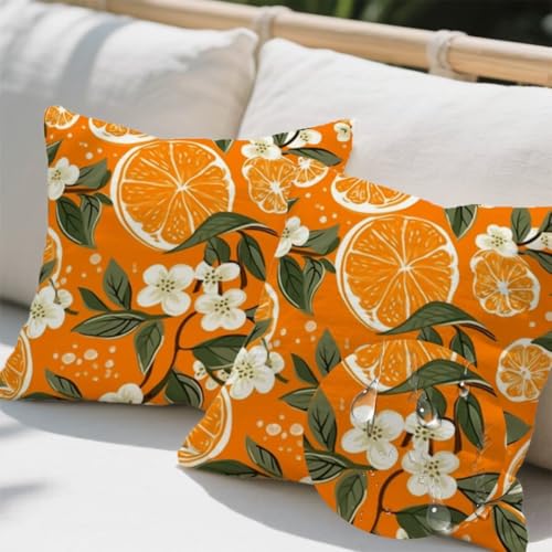 Outdoor Kissen 60x60 cm 2er Set Kissenbezug Herbst Kissen Deko Kissenbezüge Atmungsaktiv Wetterfest,Quadrat Sofakissen Samtstoff Kissenhülle Zitrone Outdoorkissen für Garten Balkon Deko Geschenke e482 Outdoor Kissen 60x60 cm 2er Set Kissenbezug Herbst Kissen Deko Kissenbezüge Atmungsaktiv Wetterfest,Quadrat Sofakissen Samtstoff Kissenhülle Zitrone Outdoorkissen für Garten Balkon Deko Geschenke e482 von Donpeer