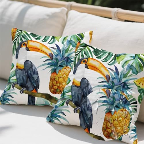 Outdoor Kissen 60x60 cm 2er Set Kissenbezug Papagei Kissen Deko Kissenbezüge Atmungsaktiv Wetterfest,Quadrat Sofakissen Samtstoff Kissenhülle Ananas Outdoorkissen für Garten Balkon Deko Geschenke e696 Outdoor Kissen 60x60 cm 2er Set Kissenbezug Papagei Kissen Deko Kissenbezüge Atmungsaktiv Wetterfest,Quadrat Sofakissen Samtstoff Kissenhülle Ananas Outdoorkissen für Garten Balkon Deko Geschenke e696 von Donpeer