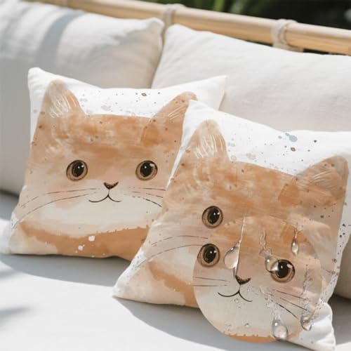 Outdoor Kissen 80x80 cm 2er Set Kissenbezug Katze Kissen Deko Kissenbezüge Atmungsaktiv Wetterfest,Quadrat Sofakissen Samtstoff Kissenhülle Niedlich Outdoorkissen für Garten Balkon Deko Geschenke e432 Outdoor Kissen 80x80 cm 2er Set Kissenbezug Katze Kissen Deko Kissenbezüge Atmungsaktiv Wetterfest,Quadrat Sofakissen Samtstoff Kissenhülle Niedlich Outdoorkissen für Garten Balkon Deko Geschenke e432 von Donpeer
