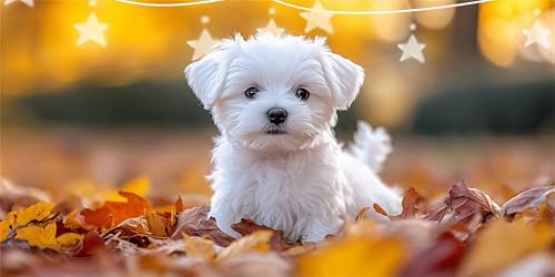 Diamond Painting Erwachsene Blätter Diamond Painting Hund Diamant Paintings bilder, Diamant Malerei Kits Cross Stitch Stickerei Kunsthandwerk für Deko Wohnzimmer, Geschenke für Frauen 40x80cm G6-764 von Doontiny