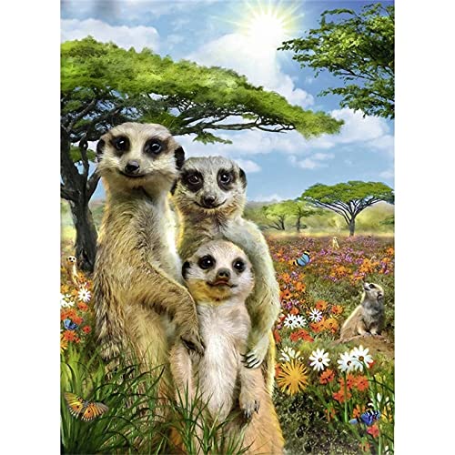 5D Diamond Painting Erdmännchen Diamant Painting Kinder, DIY Voll Set Cross Stickerei Malerei, Diamond Painting Erwachsene Bilder Kits, Home Wanddekoration Malerei Kunsthandwerk Geschenk 50x70cm 5D Diamond Painting Erdmännchen Diamant Painting Kinder, DIY Voll Set Cross Stickerei Malerei, Diamond Painting Erwachsene Bilder Kits, Home Wanddekoration Malerei Kunsthandwerk Geschenk 50x70cm von Dooqon