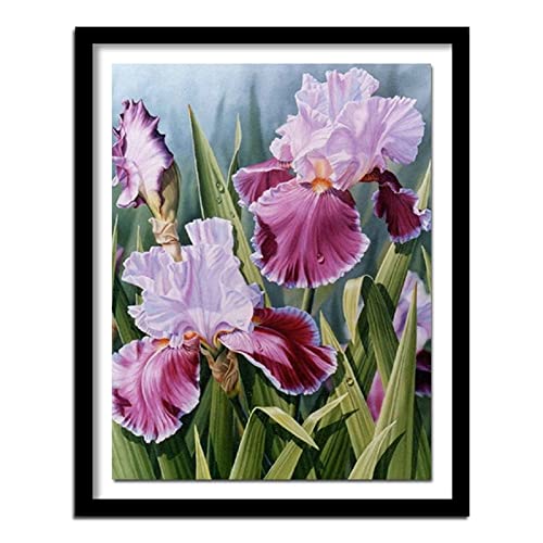 5D Diamond Painting Iris Diamant Painting Kinder, DIY Voll Set Cross Stickerei Malerei, Diamond Painting Erwachsene Bilder Kits, Home Wanddekoration Malerei Kunsthandwerk Geschenk 40x50cm 5D Diamond Painting Iris Diamant Painting Kinder, DIY Voll Set Cross Stickerei Malerei, Diamond Painting Erwachsene Bilder Kits, Home Wanddekoration Malerei Kunsthandwerk Geschenk 40x50cm von Dooqon